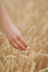 wheat in the hands