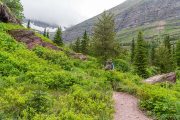 Adult man hikes along the Swiftcurrent Pass trail in Glacier National Park Montana