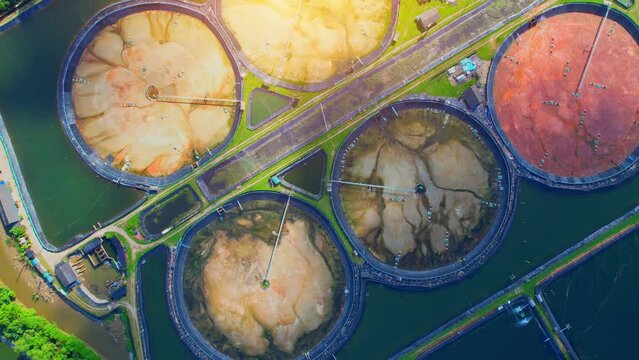 Aerial drone of industrial shrimp farm, aquaculture in Thailand. aquaculture business exported international market. 4k
