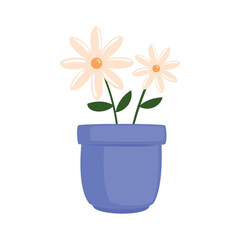 houseplant with purple pot