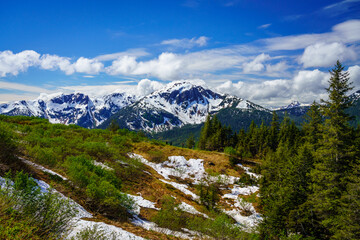 Fototapeta na wymiar View from top of tram towards Mount Bradley above the city of Juneau in Alaska