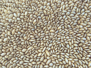 texture, small, white stones are laid out in a figure, glued with concrete. stones with a brown spot, a panel of concrete. 3d texture, background