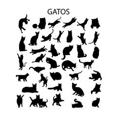 Gatos, silueta vectorial