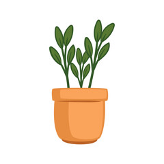 houseplant in classic pot