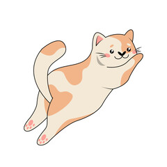Vector illustration of a white-red cat lying on its stomach. Funny pet