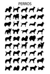 Perros, silueta vectorial