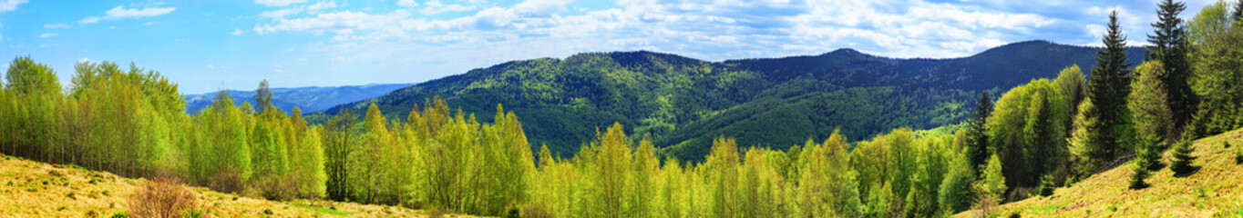 Obraz premium Spring landscape, panorama, banner - view of forested mountains, Carpathian mountains, Ukraine