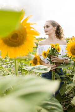 a young girl with a model appearance, blond and long hair, in denim trousers and a white blouse in a sunflower field