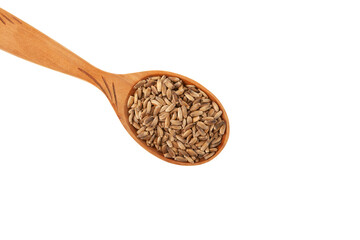 Milk Thistle seeds. Silybum marianum plant seeds in wooden spoon on white background, close-up. Natural antioxidant. Herbal superfood for aiding liver function