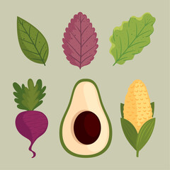 six healthy food icons