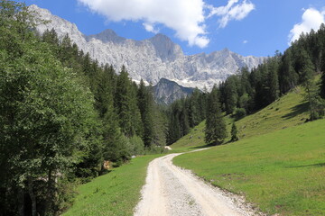 Fototapeta na wymiar Stony and dusty road, green meadows, pastures and forests. The rocky Dachstein mountain range in the background. Summer sunny day. The Austrian Alps.