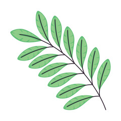 Fototapeta na wymiar branch with green leafs