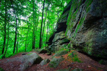 A beautiful landscape of the trail in the Giant Mountains to the Chojnik Castle. Poland