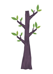 Obraz premium tree forest plant