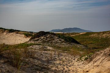 Fototapeta na wymiar dunes. Florianopolis - SC - Brazil
