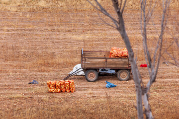 trailer in the middle of an onion field in the province of Salta, Argentina
