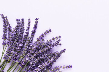 Bunch of lavender flowers on a lilac background. Top view, copy space
