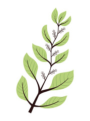 branch with green leafs foliage