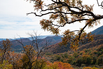 mountains and landscapes in autumn with colorful vegetation in South America, Argentina, Cordoba
