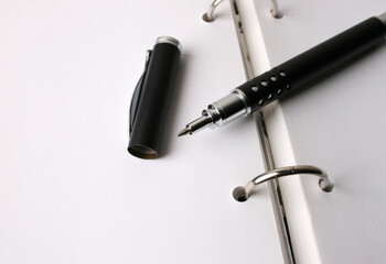 Fancy Pen
