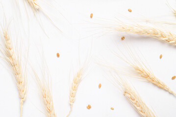 Whole wheat grain on white background, food ingredient, flat lay