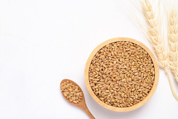 Whole wheat grain in wooden bowl with spoon on white background, food ingredients, Top view
