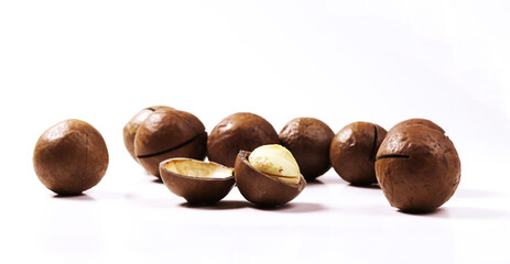 Macadamia nut on a white background. Shallow depth of field