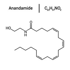 chemical structure of Anandamide (C22H37NO2)