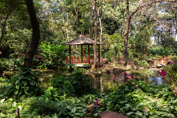 Fototapeta na wymiar Ribeirao Preto, Sao Paulo, Brazil, April 30, 2015. Japanese Garden, one of the attractions of Bosque Municipal Fabio Barreto, in the city of Ribeirao Preto
