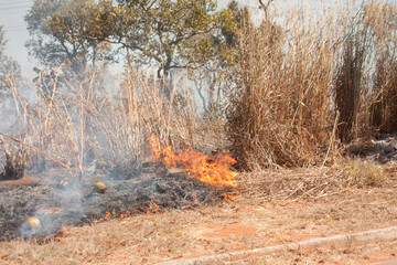 A brush fire near the Karriri-Xoco and Tuxa Indian Reservation in the Northwest section of Brasilia, Brazil