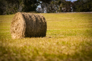 Hay Bale