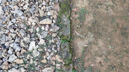 stone and soil with moss