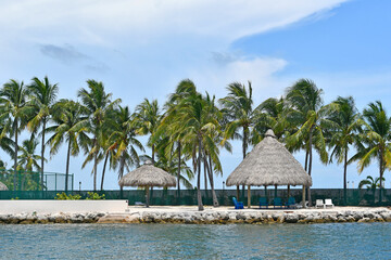 Palm trees along the waterfront at Marathon in the Florida Keys, Florida, USA. Tropical paradise vacation destination.