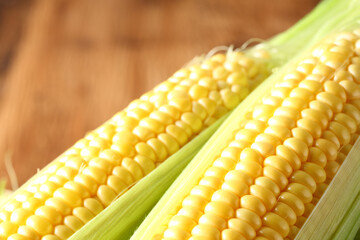 ２本のトウモロコシのアップ