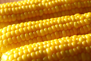 茹でたトウモロコシ