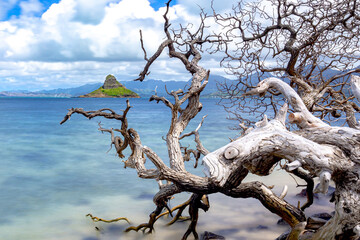 Chinaman's Hat on Kane'ohe Bay oahu hawaii