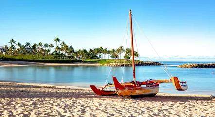 Fototapeten secret beach morning in oahu hawaii © digidreamgrafix