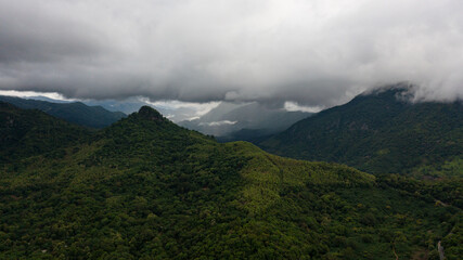 Fototapeta na wymiar Mountains with rainforest and jungle in the mountainous province of Sri Lanka.