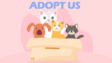 adopt, stray animal, adopt us, stray animals waiting to be adopted