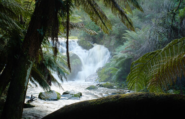 Waterfall in Tasmania
