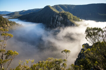 Morning mist rising over Tasmanian gorge