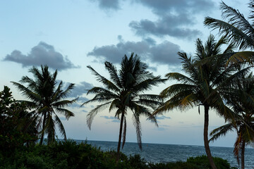 Fototapeta na wymiar Tropical beach view in the evening