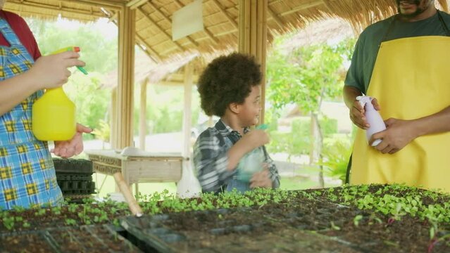 Happy African American farmer family with half-caste boy fun spray water seedling in nursery plot with gardening foggy, organic vegetable cultivated, green nature agriculture in ecology countryside.