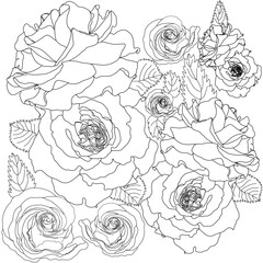 Flawers Rose blossom group backdrop decorated with gorgeous  blooming flowers and leaves border. Spring botanical flat vector illustration on background 