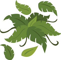 Leaves Illustration Vector Clipart