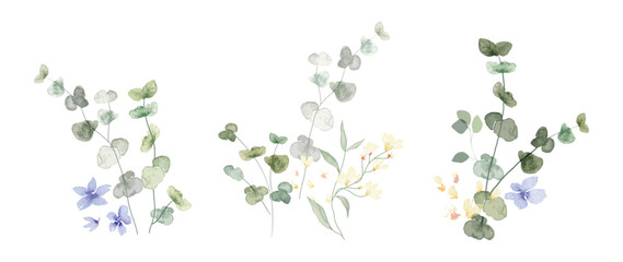 watercolor arrangements with small flower. Botanical illustration minimal style. - 519490224