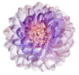 Fotobehang Purple  dahlia  flower  on white isolated background with clipping path. Closeup. For design. Nature. © nadezhda F