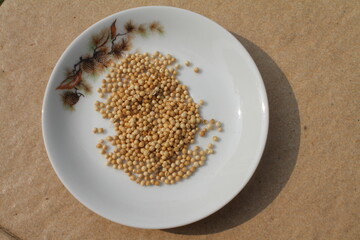 Coriander is a popular spice plant. The small fruit is dried and traded, whether or not crushed. The unground shape is similar to pepper. Coriander has a distinctive aroma