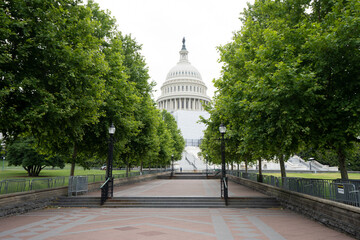 The tree-lined path that leads to the West Front of the United States Capitol building in...