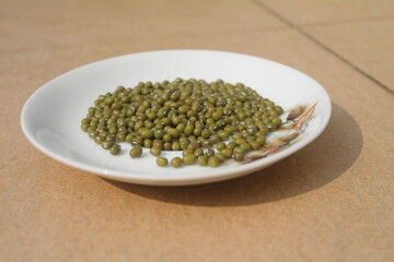 Mung bean is a type of palawija that is widely known in the tropics. Plants belonging to the legume tribe have many benefits in everyday life as a source of high vegetable protein food.